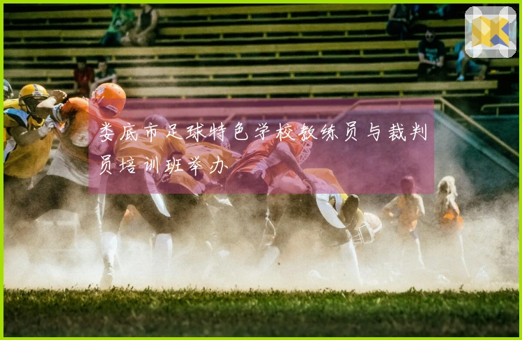 娄底市足球特色学校教练员与裁判员培训班举办